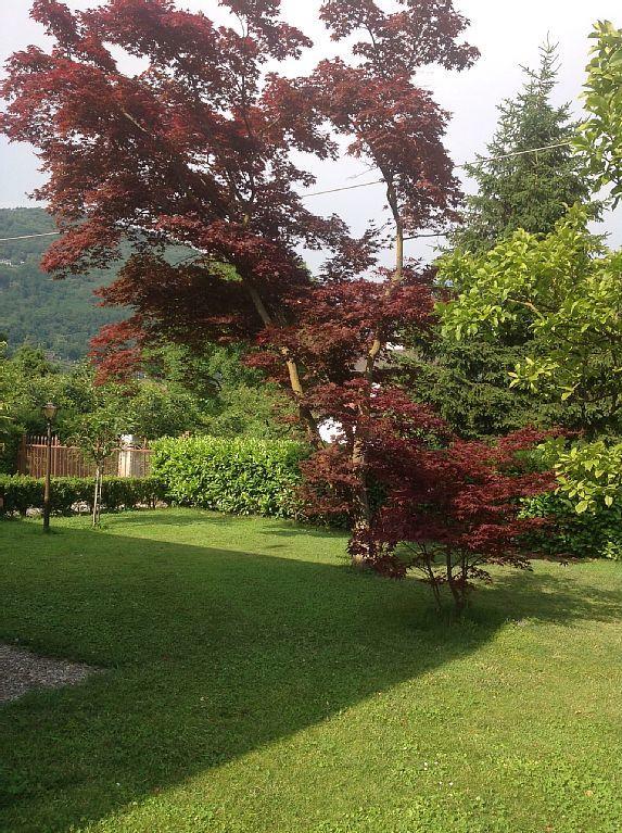 Villa Degli Aceri Сорико Экстерьер фото